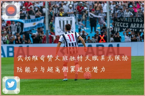 武切维奇赞文班独特天赋具无限协防能力与超高侧翼进攻潜力