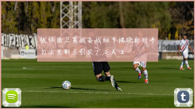 张伟丽卫冕战备战细节揭晓新对手打法克制点引发广泛关注